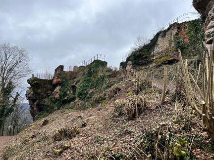 24-03-01 12-29-31 8869